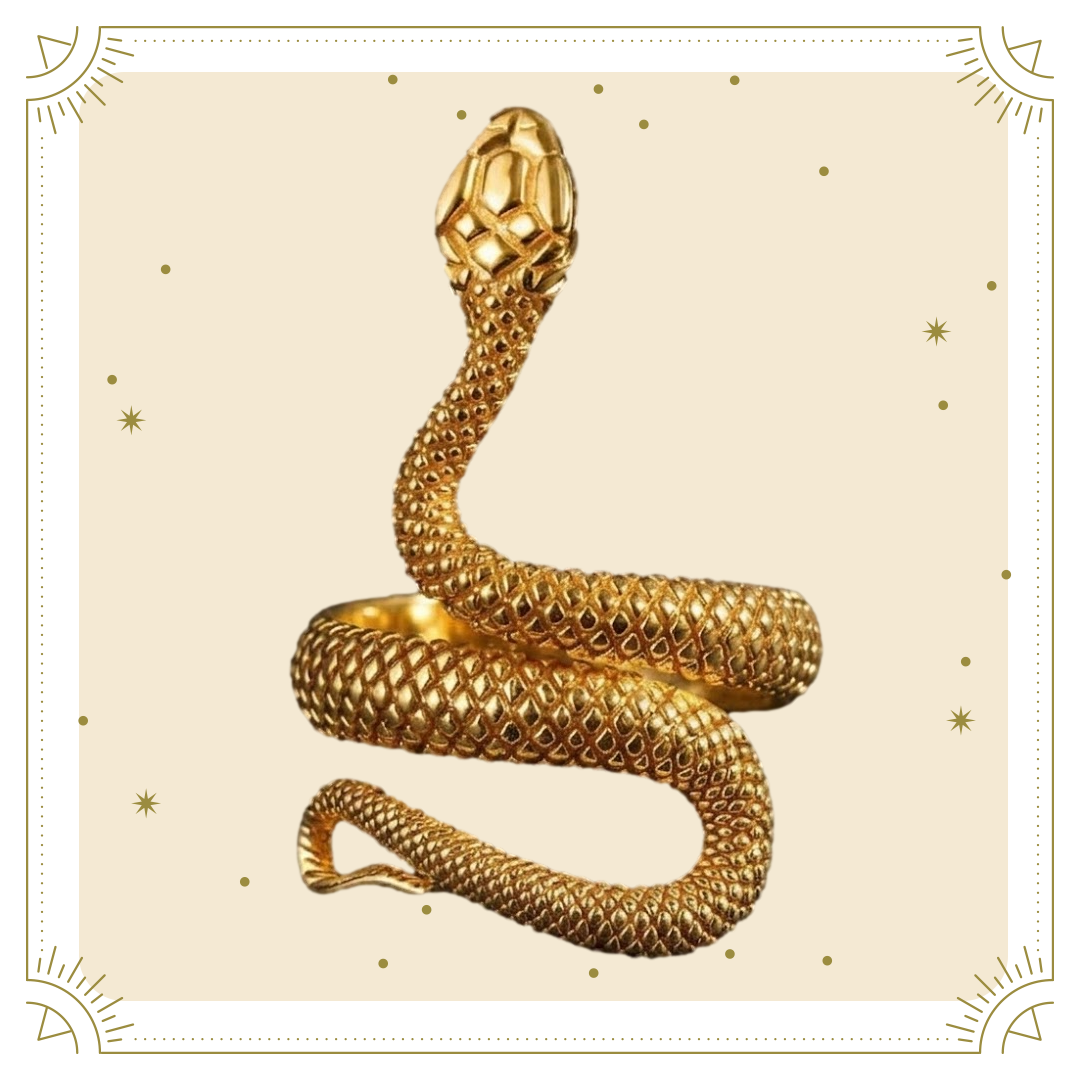 anillo